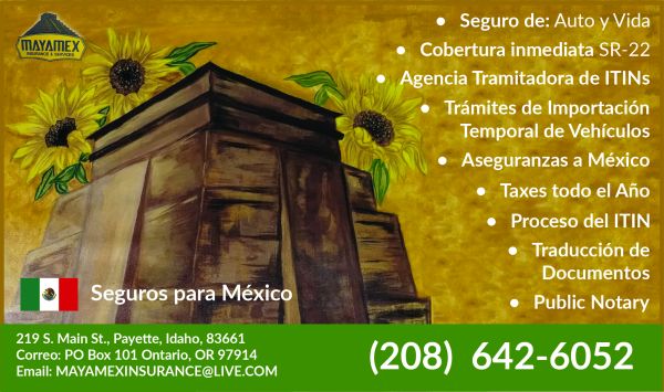 Mayamex Insurance & Services